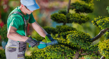 Entretien de jardin 84 à Sorgues